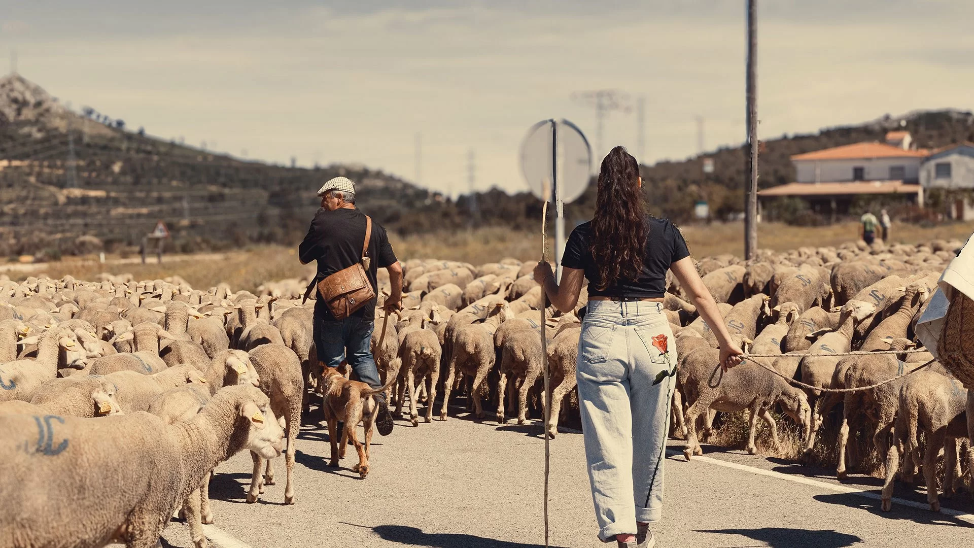 Generación Trashumante