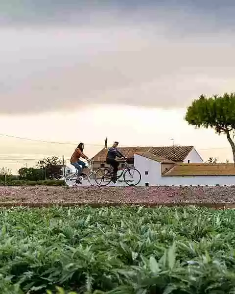 Valencia Turisme - Turisme de L'Horta