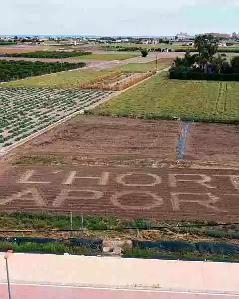 Miradors de l´Horta