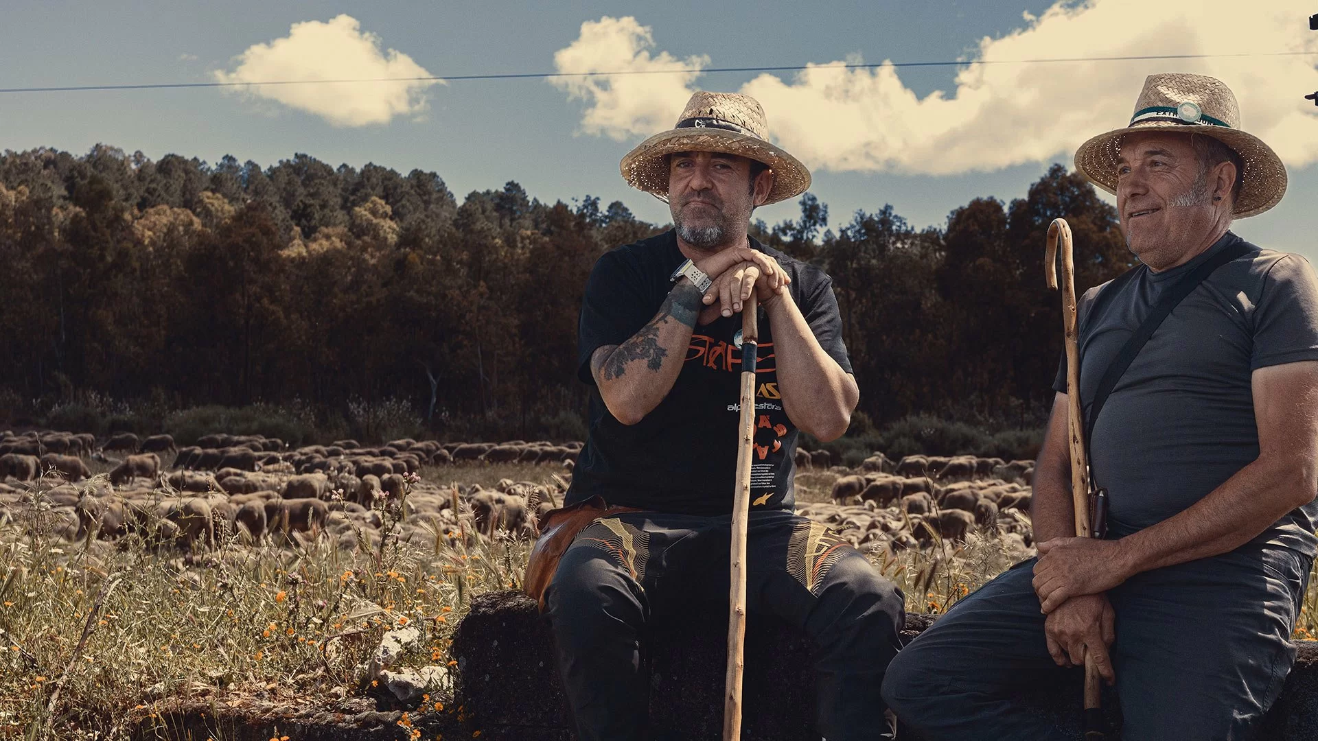 Generación Trashumante